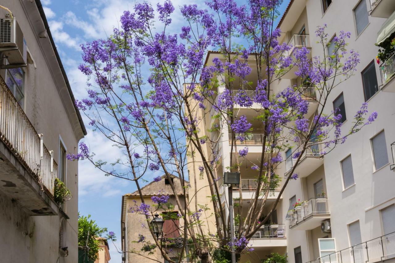 Mediterranean Suites - Old Town Sorrento Exterior photo